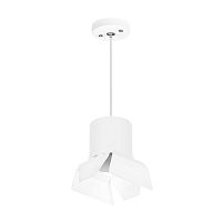 Комплект с подвесным светильником Lightstar Rullo (213486+590086+202486) RP3486486