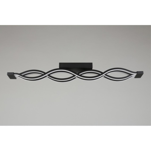 Светильник настенно-потолочный APL.002.17.72 фото 21