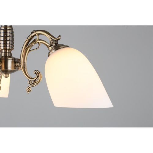 Люстра подвесная OML-56407-05 фото 6