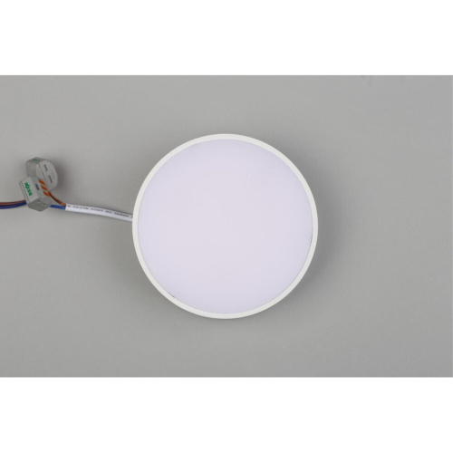 Светильник настенно-потолочный APL.0113.09.12 фото 7