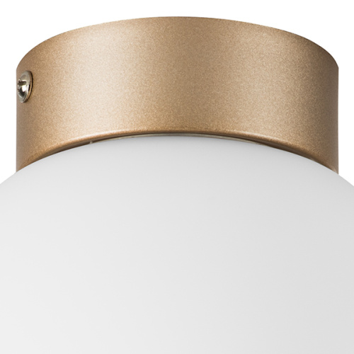 812013 Люстра GLOBO 1х40W E14 ШАМПАНЬ/БЕЛЫЙ фото 3 812013 Люстра GLOBO 1х40W E14 ШАМПАНЬ/БЕЛЫЙ фото 3