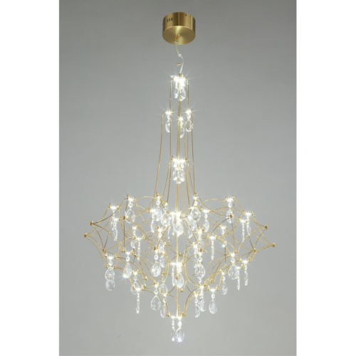 Люстра подвесная OML-95713-60 фото 5