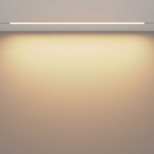 Трековый светильник Voltega Эксилайт / Exilight VGL030-2-30W3K-W фото 4 Трековый светильник Voltega Эксилайт / Exilight VGL030-2-30W3K-W фото 4