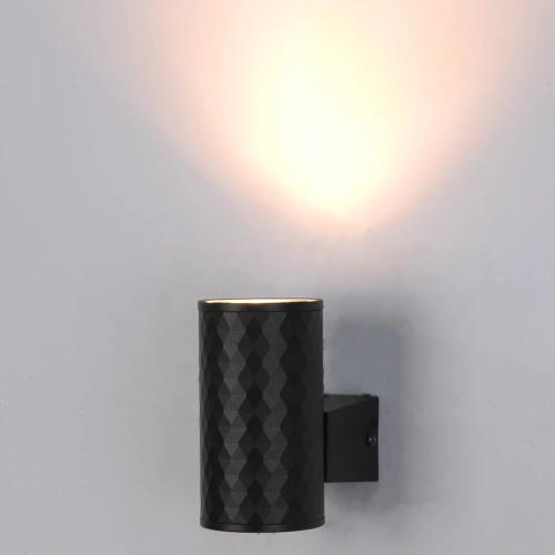 Фасадный светильник Arte Lamp HYADUM A3458AL-1BK фото 2