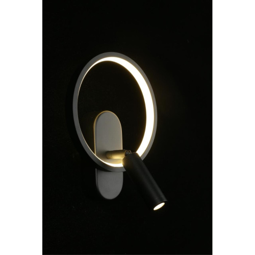 Светильник настенный (Бра) APL.346.01.02 фото 14