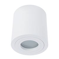 Потолочный светильник Divinare Galopin 1460/03 PL-1