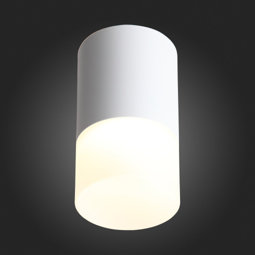 ST100.502.05 Светильник потолочный Белый LED 1*5W 3000K 390Lm Ra>80 120° D64xH110 170-240V Накладные светильники фото 6