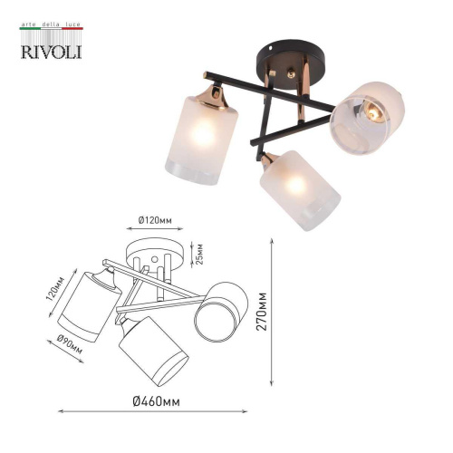 Потолочная люстра Rivoli Fiona 3163-303 Б0059259 фото 5