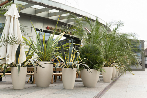 Кашпо UPON SAHARA фото 2 Кашпо UPON SAHARA фото 2