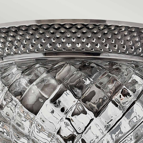 Потолочный светильник Hinkely Lighting, Арт. HK-PLANT-F-S-PL фото 3