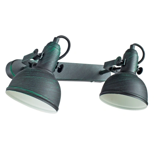 Спот Arte Lamp MARTIN A5213AP-2BG Спот Arte Lamp MARTIN A5213AP-2BG