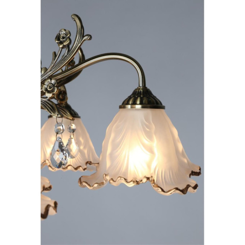 Люстра потолочная OML-54807-05 фото 2 Люстра потолочная OML-54807-05 фото 2