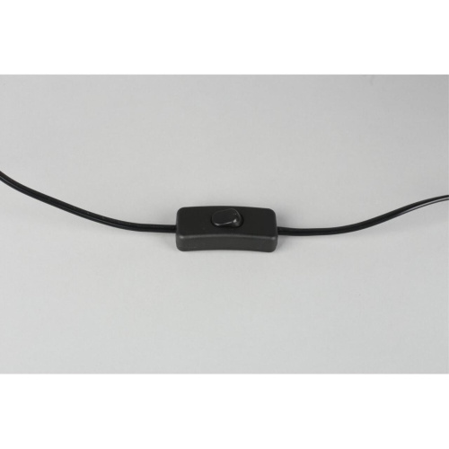 Настольная лампа OML-19314-01 фото 2 Настольная лампа OML-19314-01 фото 2