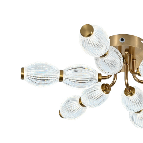 Потолочный светильник 100012/6C LED*60W Brass фото 5 Потолочный светильник 100012/6C LED*60W Brass фото 5