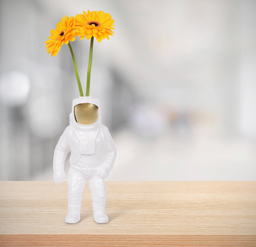 Ваза Starman white фото 4 Ваза Starman white фото 4