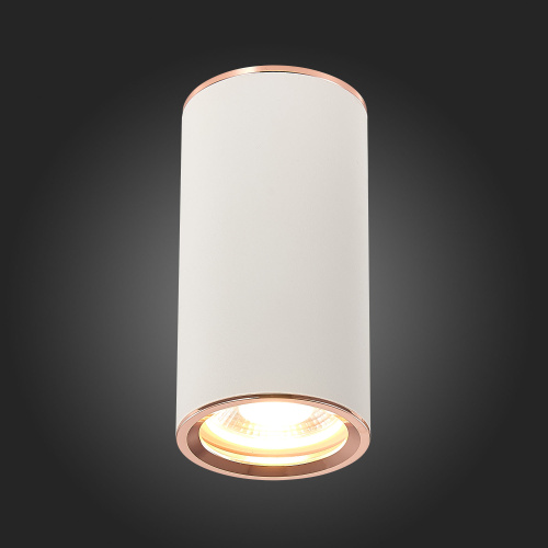 ST111.527.01 Светильник потолочный Белый GU10 1*50W D54xH105 220V Без ламп Накладные светильники фото 6