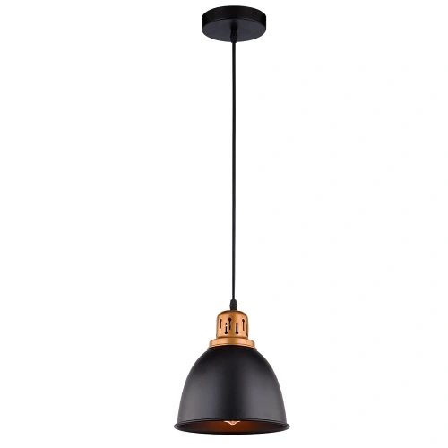 Подвесной светильник Arte Lamp EURICA A4245SP-1BK Подвесной светильник Arte Lamp EURICA A4245SP-1BK