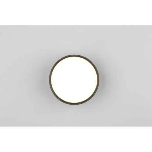 Светильник встраиваемый-накладной OML-103319-12 фото 5