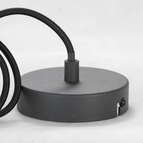 Подвесной светильник Lussole Lgo LSP-8573 фото 4