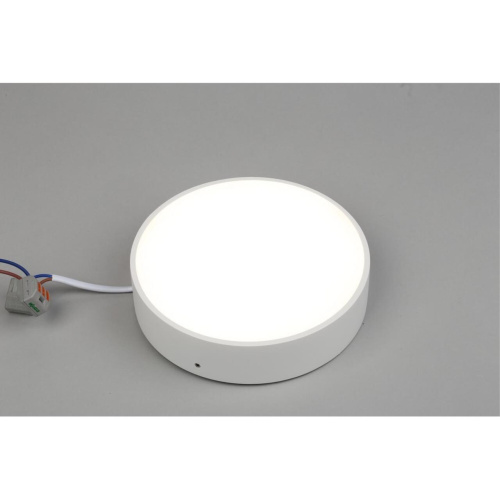 Светильник настенно-потолочный APL.0114.09.18 фото 4 Светильник настенно-потолочный APL.0114.09.18 фото 4