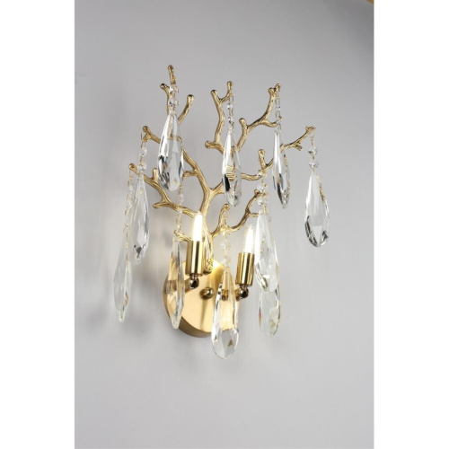 Светильник настенный (Бра) OML-52901-02 фото 6 Светильник настенный (Бра) OML-52901-02 фото 6