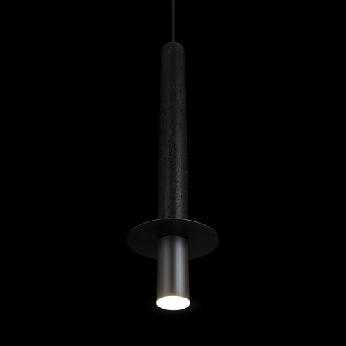 10583B Black Подвесной светильник LOFT IT Everest фото 4