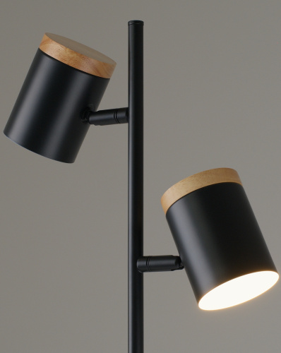 Торшер Moderli V11287-2F Asheswood фото 4 Торшер Moderli V11287-2F Asheswood фото 4