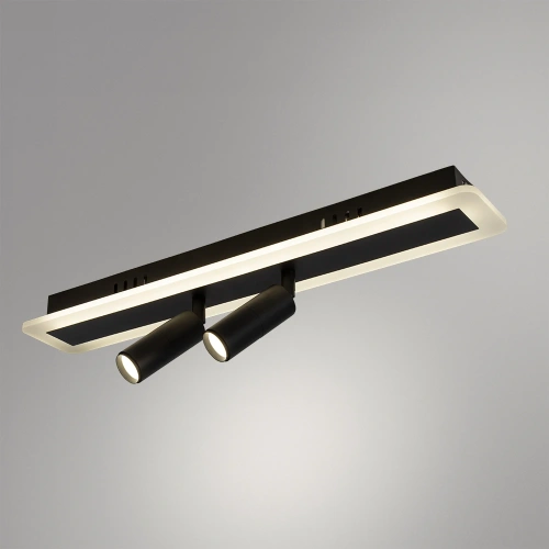 Спот Arte Lamp TOMMY A2607PL-22BK фото 2 Спот Arte Lamp TOMMY A2607PL-22BK фото 2