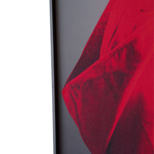 Декоративная картина FP Red Hat 50-70 фото 6