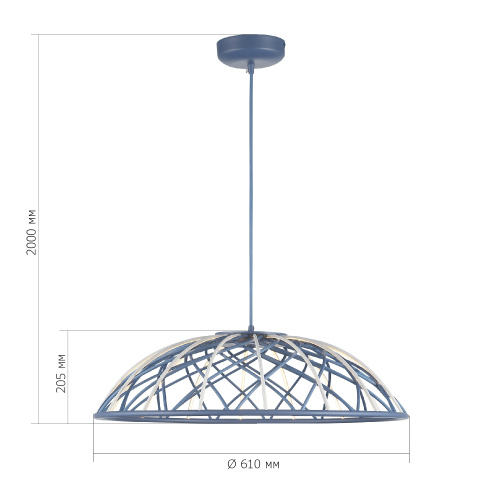 SL6016.703.01 Светильник подвесной ST-Luce Синий/Синий LED 1*20W 3000K BOUND фото 2