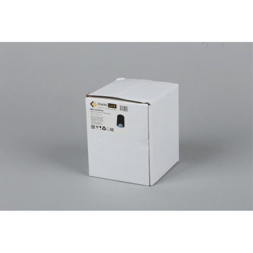 Светильник встраиваемый-накладной OML-101219-01 фото 3 Светильник встраиваемый-накладной OML-101219-01 фото 3