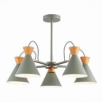 Потолочная люстра Evoluce Modica SLE125112-05