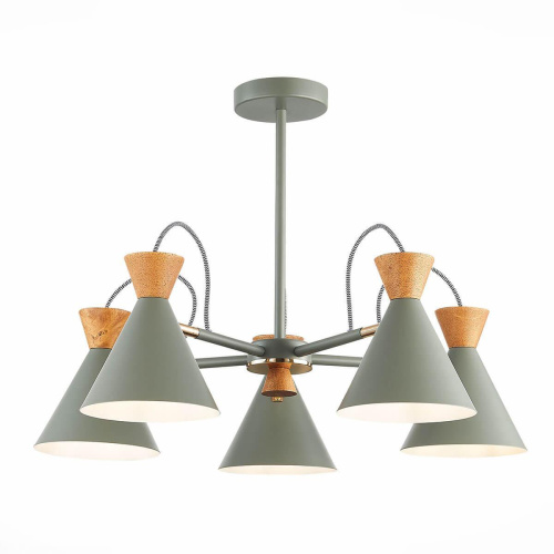 Потолочная люстра Evoluce Modica SLE125112-05 Потолочная люстра Evoluce Modica SLE125112-05