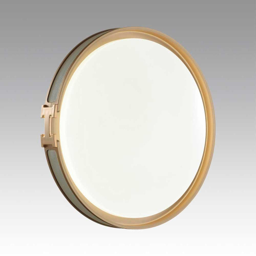 Настенно-потолочный светодиодный светильник Sonex Color Favemo Grey 7654/EL фото 5