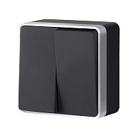 Выключатель двухклавишный Gallant черный с серебром W5020034 W5020034