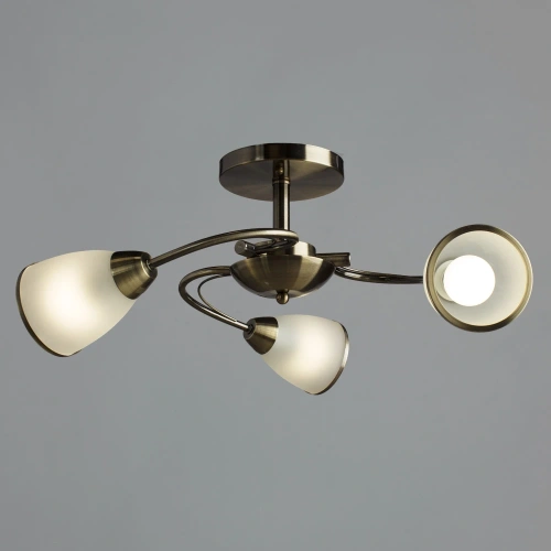 Потолочная люстра Arte Lamp INNOCENTE A6056PL-3AB фото 2 Потолочная люстра Arte Lamp INNOCENTE A6056PL-3AB фото 2