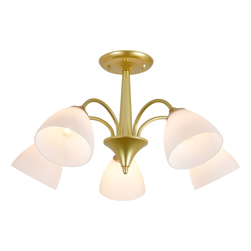 Светильник на штанге 150003/5R E27*60W Gold