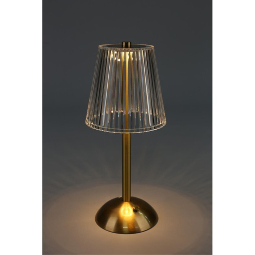 Настольная лампа OML-40004-01 фото 5