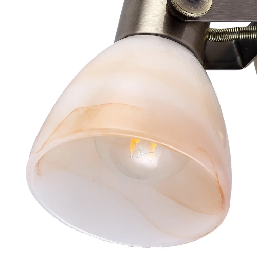 Спот Arte Lamp TULIP A9581AP-1AB фото 3 Спот Arte Lamp TULIP A9581AP-1AB фото 3