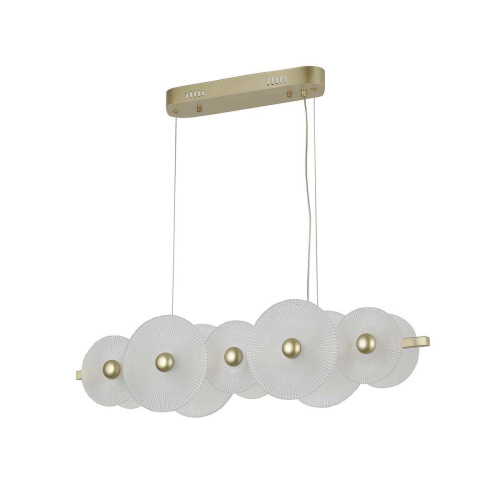 Подвесная светодиодная люстра F-Promo Arctium 4605-5P Подвесная светодиодная люстра F-Promo Arctium 4605-5P