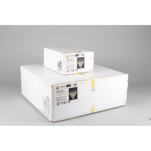 Люстра подвесная OML-69803-15 фото 6 Люстра подвесная OML-69803-15 фото 6