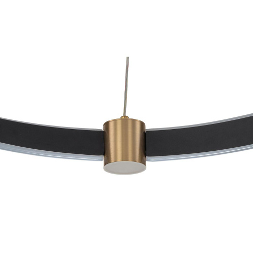 Подвесной светодиодный светильник Indigo Parade 14014/B/1P Black V000071L фото 4