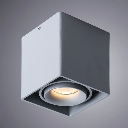 Точечный накладной светильник Arte Lamp PICTOR A5654PL-1GY фото 2 Точечный накладной светильник Arte Lamp PICTOR A5654PL-1GY фото 2