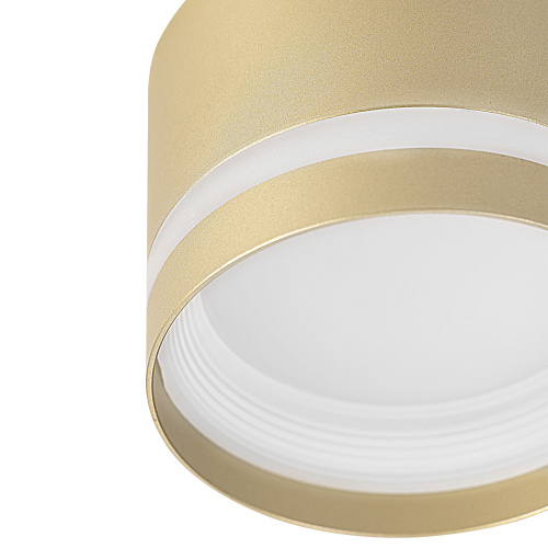 Citilux Hardy CL002C12 Светильник накладной Золото фото 4 Citilux Hardy CL002C12 Светильник накладной Золото фото 4