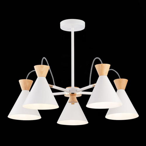 Потолочная люстра Evoluce Modica SLE125102-05 фото 2