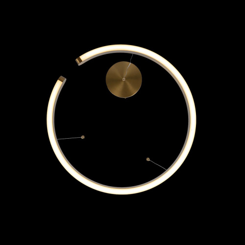 10013S Подвесной светильник LOFT IT Ring фото 4