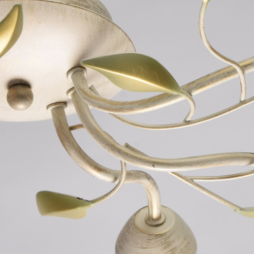 Люстра потолочная MW-Light Восторг 242015306 фото 10