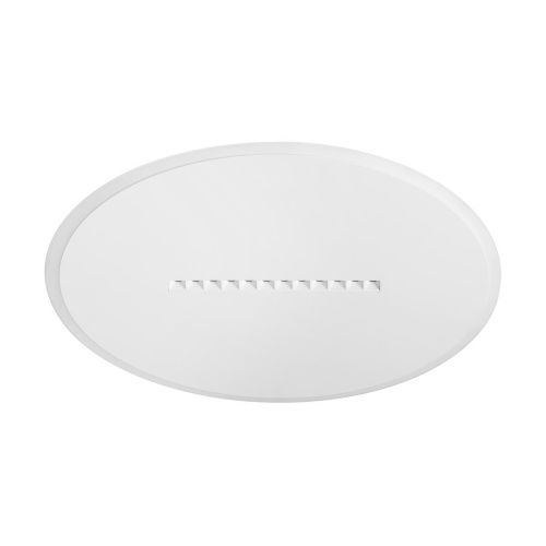Потолочный светильник Freya Сияние / Shine FR6105CL-L73W Потолочный светильник Freya Сияние / Shine FR6105CL-L73W