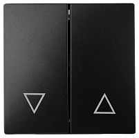 Лицевая панель ЭРА выключателя двухклавишного антрацит 12-6203-05 Б0047854