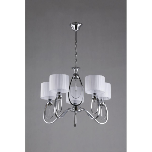 Люстра подвесная OML-63803-05 фото 4